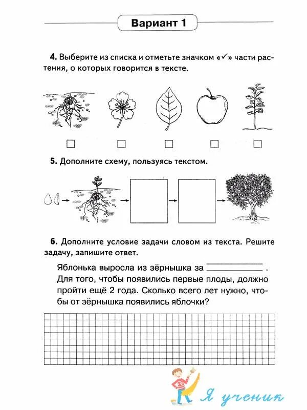 Итоговая комплексная работа 2 класс с ответами. Комплексные задания для 2 класса. Комплексные задания для 1 класса. Комплексная работа 2 класс окружающий мир. Дополните схему.