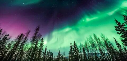 Alaska north to the future 1.49