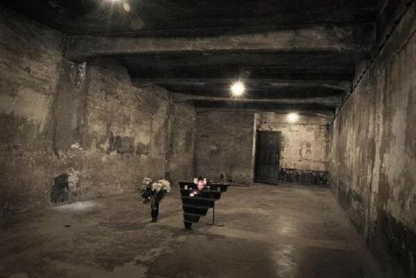 Концлагерь аушвиц мальчик в полосатой пижаме. Концентрационный лагерь газовая камера. Крематорий концлагеря. Газовые камеры освенцима. Вошли в газовые камеры с детьми.