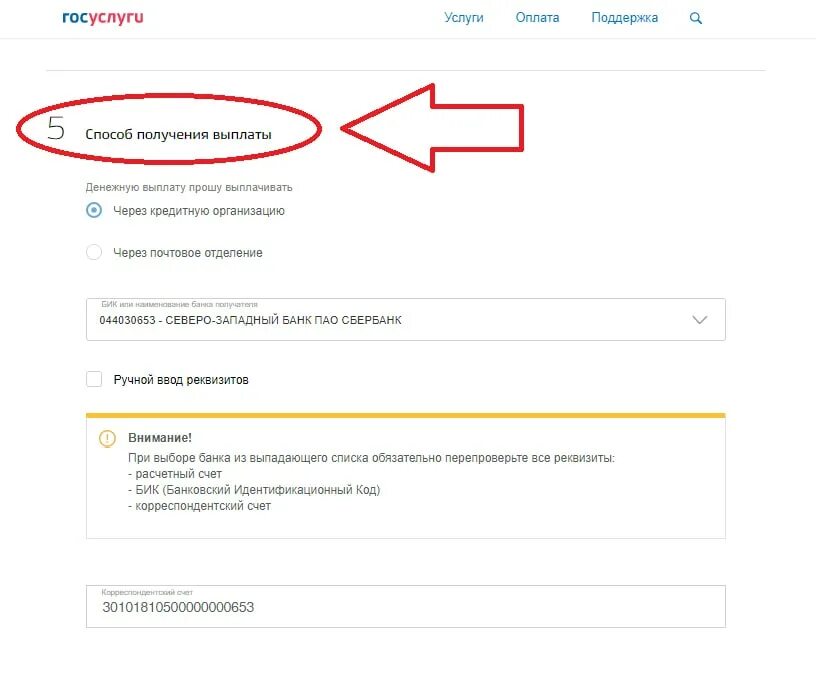 Госуслуги номер счета. СНИЛС на ребенка через госуслуги. Путинские выплаты как оформить на госуслугах. Путинские выплаты на первого ребенка госуслуги. Как подать на путинские выплаты через госуслуги.