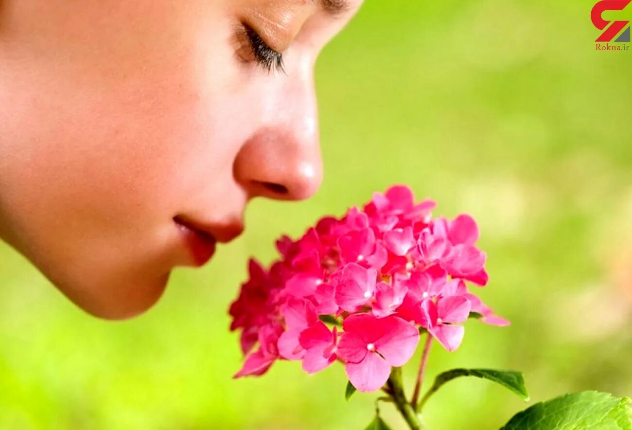 Запах цветов давление. Цветочные ароматические масла. Запах цветов давление. Мужчина, запах цветов. Комплементарность эфирных масел таблица.