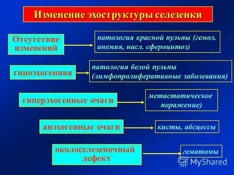 Нарушение селезенки. Заболевания селезенки классификация. Диагностика заболеваний селезенки. Классификация патологии селезенки. Эхоструктура селезенки.