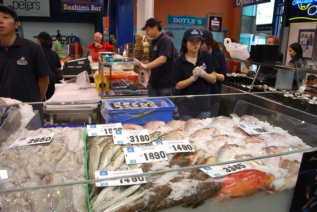 Рыбный рынок москва на волне как добраться. Sydney Fish Market. Раваи Пхукет рыбный рынок. Рыбный рынок в США. Рыбный рынок в Москве.