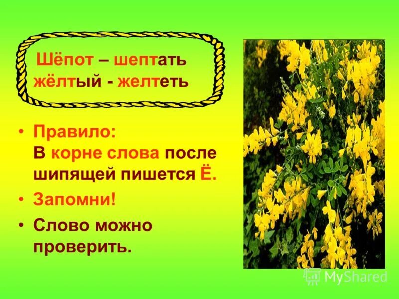 Желтого составить слова. Желтый как писать. Шепот как пишется. Шепот правописание. Слово щопо как пишется.