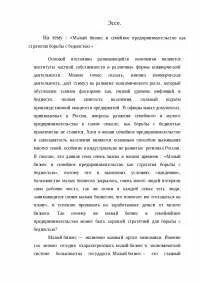 Эссе предпринимательская деятельность в моем городе