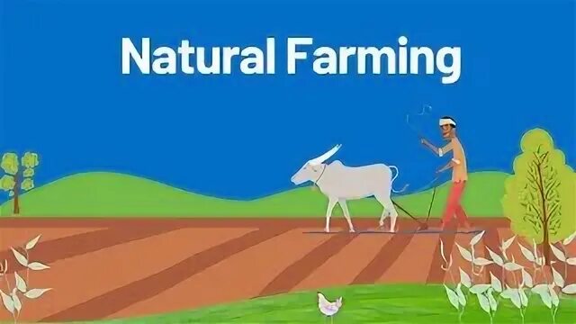 Natural farming