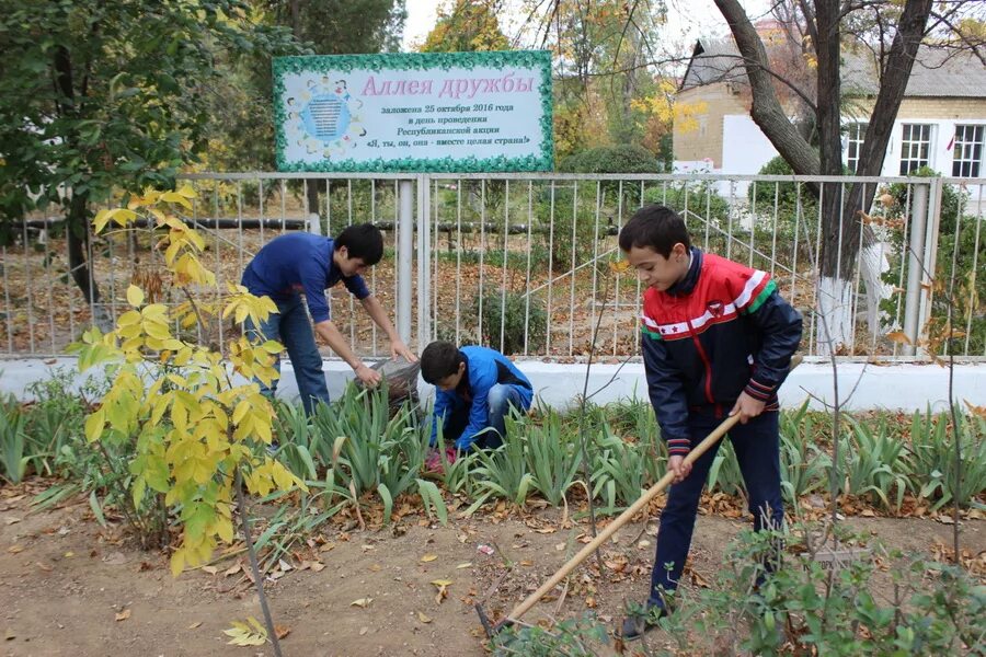 Название экологического субботника