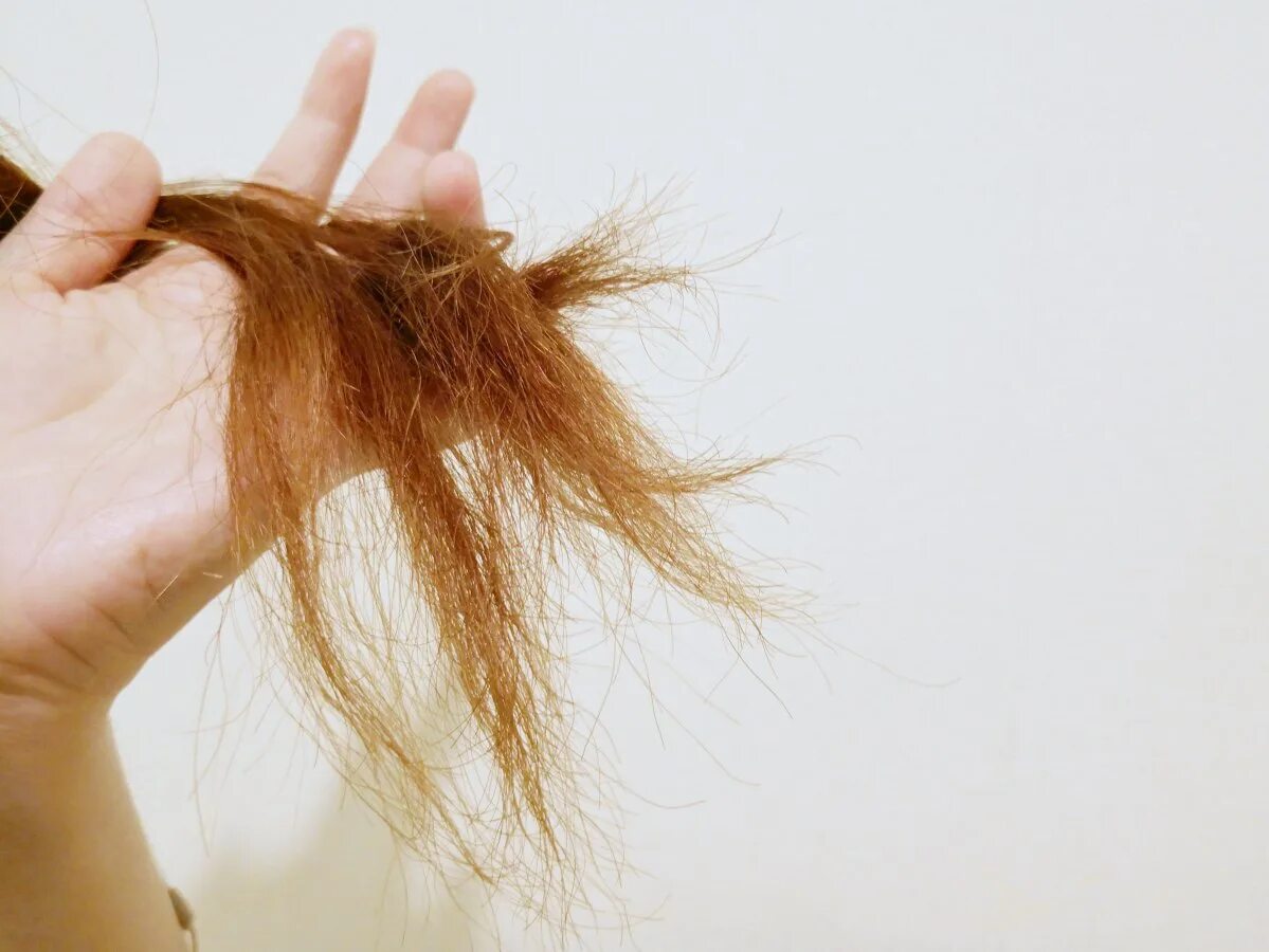 Hair ends. Thin out the hair. Split ends. Women hold hair back. Почему кончики сухие