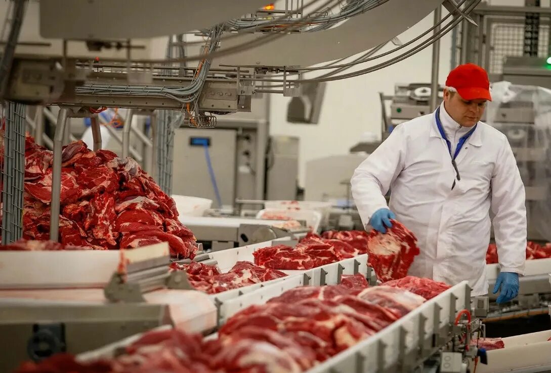 Современные технологии мясо. Тукаевская птицефабрика Набережные Челны. Предприятий мясной промышленности. Мясная промышленность. Мясоперерабатывающий завод.