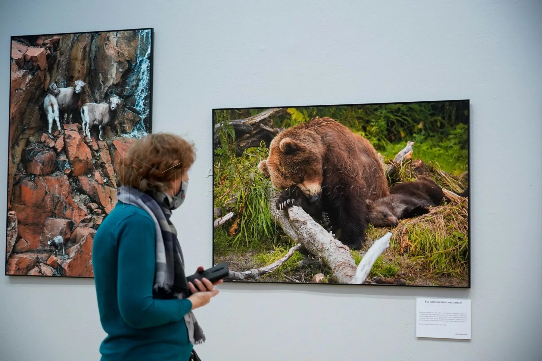 Выставки в москве первозданная россия. Фотовыставка Первозданная Россия 2022 в Москве. Крымский вал Первозданная Россия. Первозданная Россия Третьяковка. Выставка Третьяковка Первозданная Россия.