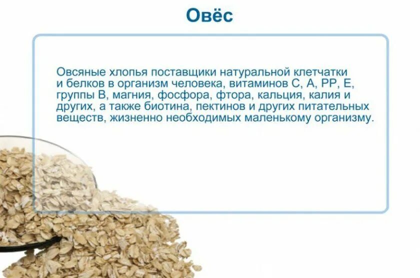 Как правильно пить овес. Чем полезен овес. овёс полезные качества. что полезного в овсе. овес полезные качества для организма человека.