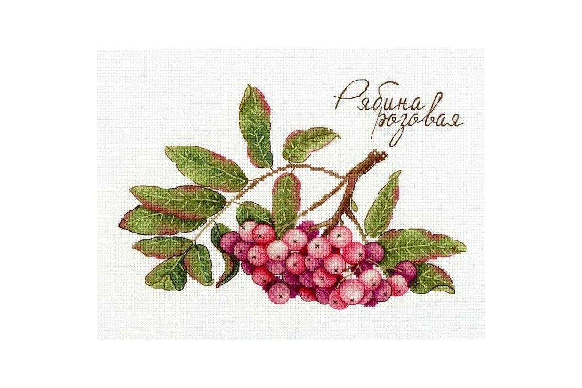 П м дары. П м дары. Вышивка черника. Мп студия дары природы готовые работы. Мп студия лимонник.