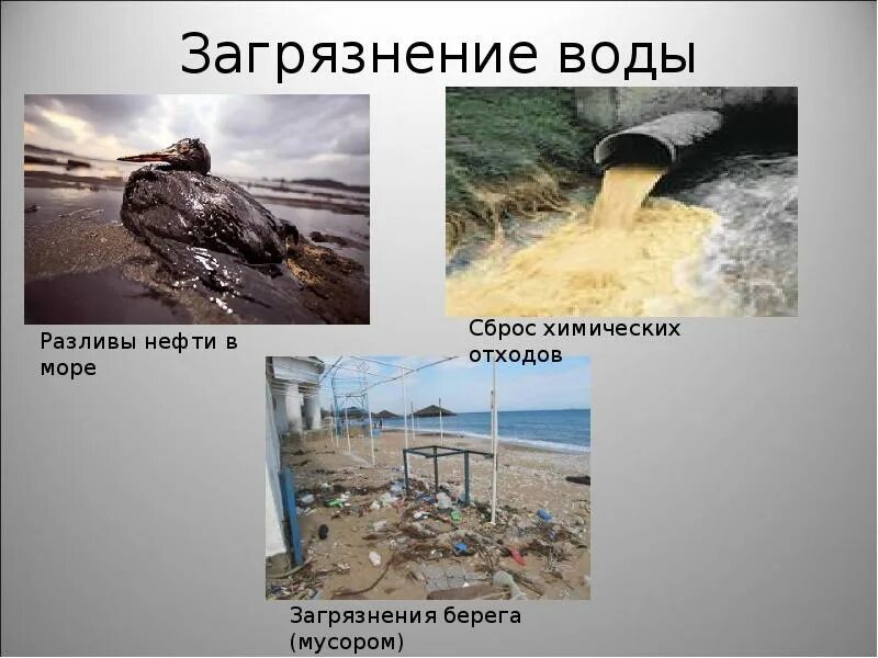 Загрязнение воды. Профилактика загрязнения воды. Презентация на тему загрязнение воды. Картинки по теме загрязнение воды.