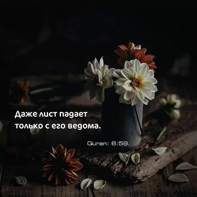 Без его ведома очень. Даже лист падает с его ведома. Даже лист падает только с его ведома. Даже лист падает с его ведома. Без его ведома очень.
