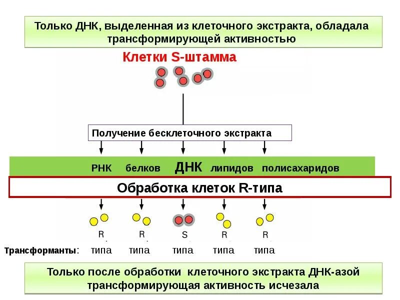 Домашнее задание по русскому языку упражнение 319. Чопорный черт в черной шелковой диктант. Буквы ё о после шипящих в корне слова. Чопорный как пишется правильно и почему. Слова с орфограммой о ё после шипящих.