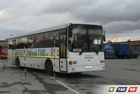 Гок автобусы
