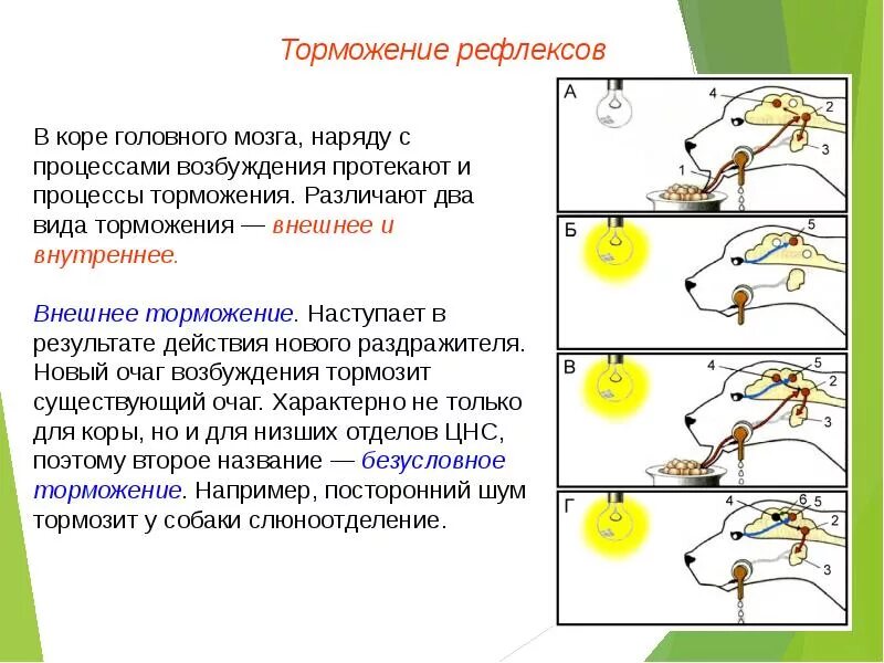 Жизненно важный раздражитель