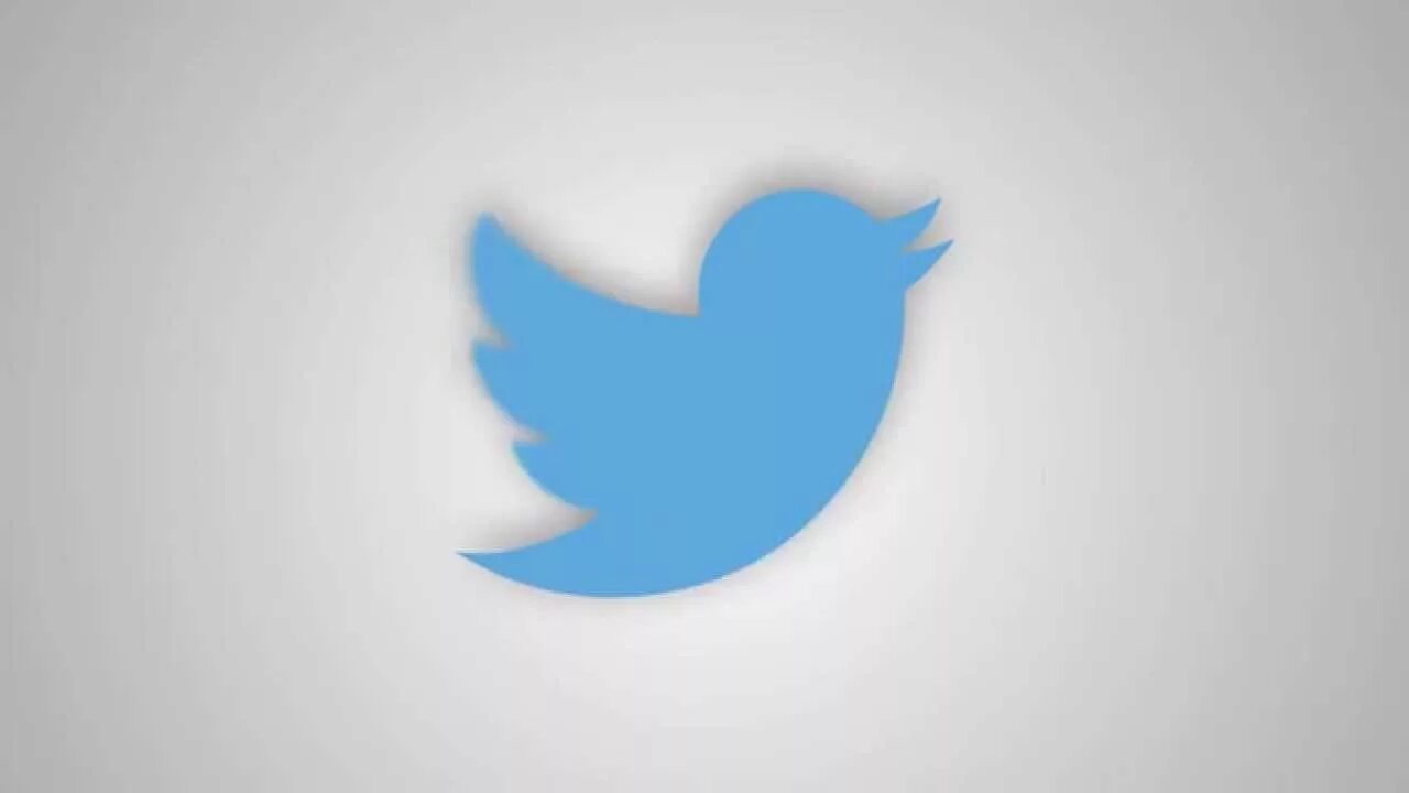 Twitter animations. Логотип твиттера сетка. Классический логотип твиттера. Логотип Твиттер построение. Новое лого твиттера.