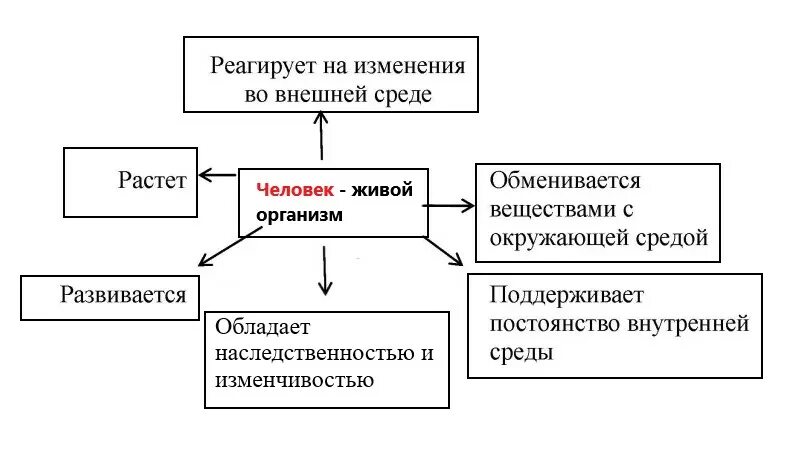 Реагировать на изменения внутренней и. Человек живой организм схема. Человек живой организм схема 4. Дополни схему человек живой организм 4 класс окружающий мир. Человек живой организм дополнить схему.