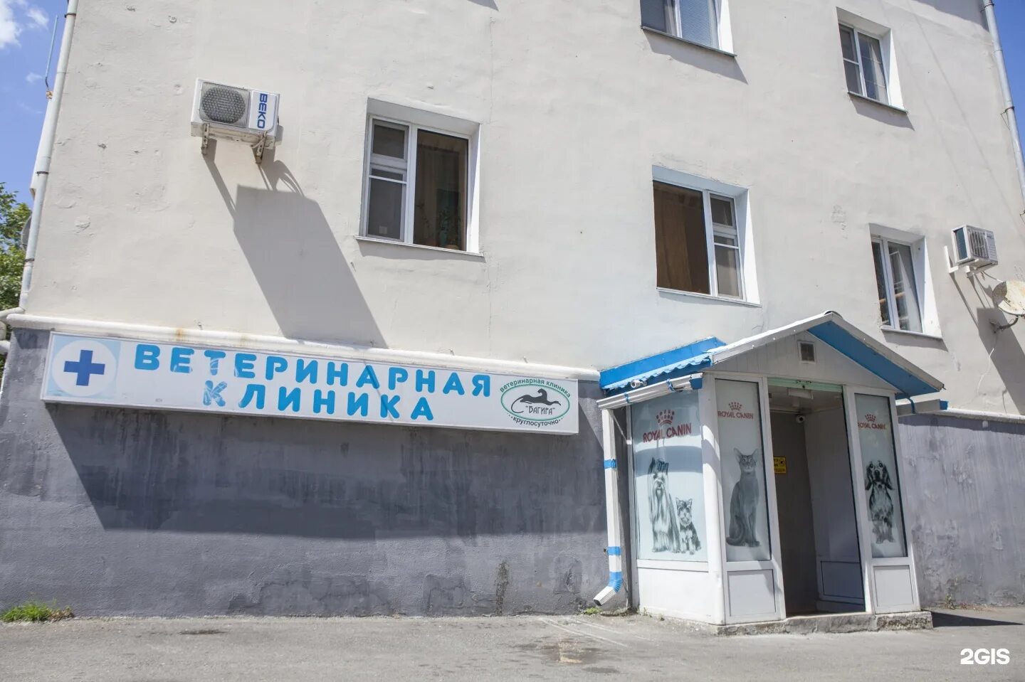 Новороссийск ветклиника на куникова телефон. Интерьер ветеринарной клиники америка. Багира новороссийск ветклиника. Ветеринарная новороссийская. Айболит новороссийск ветклиника телефон.