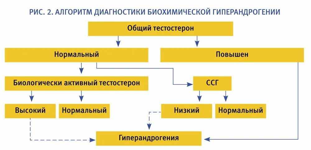 Тестостерон общий и Свободный. Тестостерон биологически активный. Гормоны при гиперандрогении у женщин. Показатели индекса свободного тестостерона. Повышенные мужские гормоны у женщин