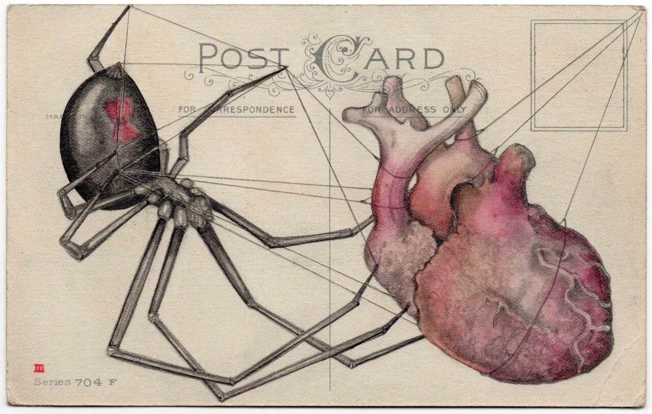 У сердца есть мозг. Сердце паука. Сердце паукообразных. Строение сердца паука. У пауков есть сердце.