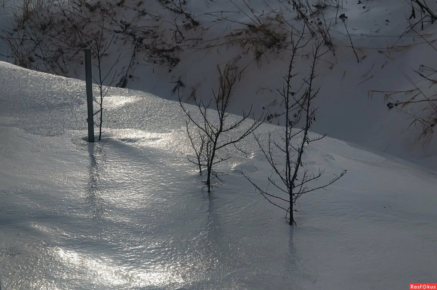 белое покрывало. на белом белом поерывпле чгваря. белым покрывалом января 2023 года. белым покрывалом января 2023 года. белым покрывалом января 2023 года.
