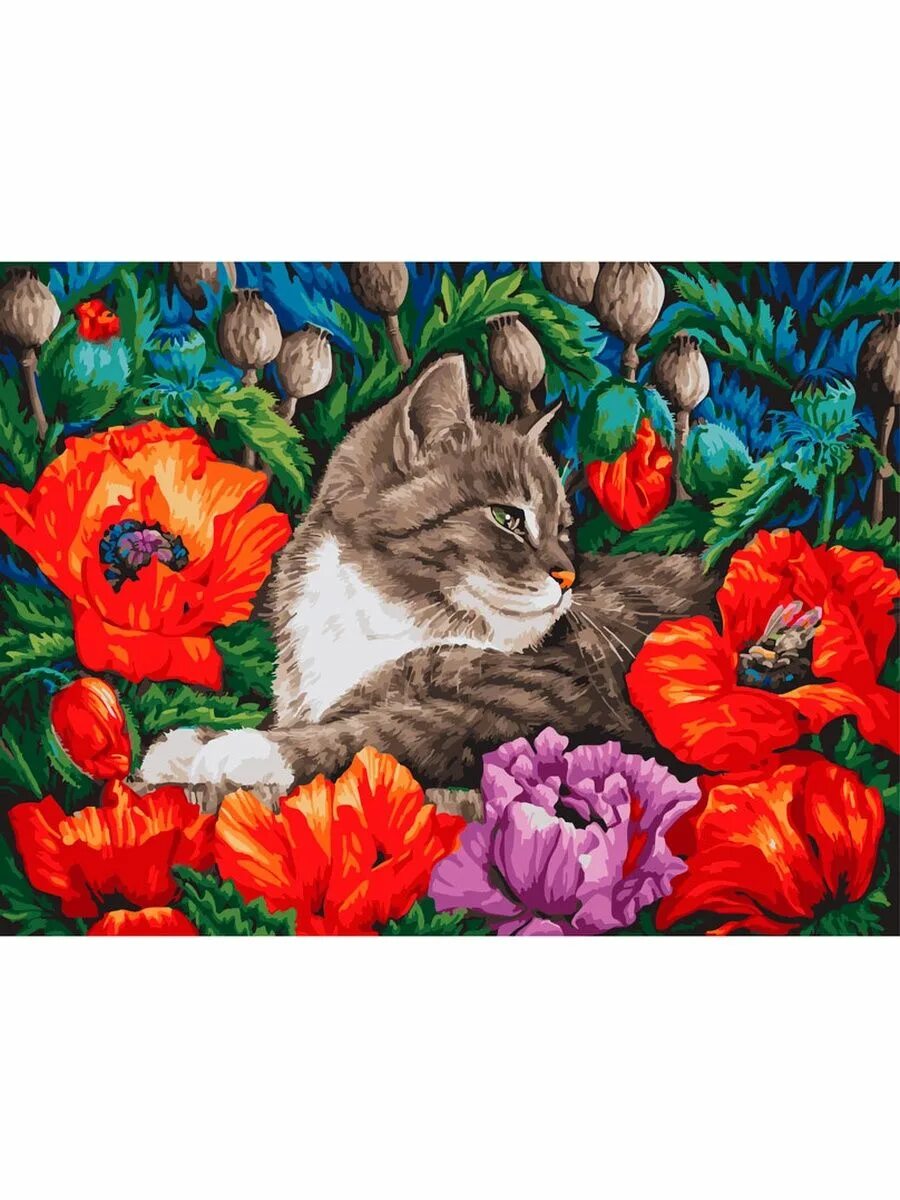 Белоснежка кот. Кот в маках Белоснежка 183-as. Картина кот с маками. Раскраска по номерам кот. Алмазная мозаика на подрамнике кот.