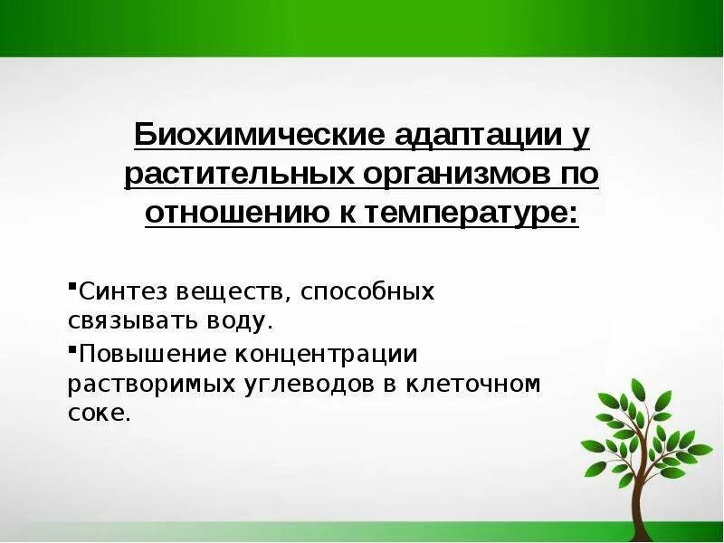 Группы экологической адаптации. Биохимическая адаптация растений. Биохимические механизмы адаптации. Биохимические адаптации примеры. Адаптация в биохимии.