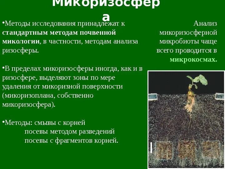 Методика почва вред. Классификация почв по степени деградации. Почему нужно бережно относиться к почвам. Методы очищения почвы. Методика почва вред.