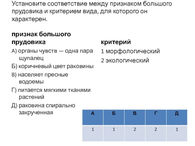 Органы чувств одна пара щупалец. Ответы на работу с текстом дети решили изучить дыхание прудовика. Признаки характерные для прудовика