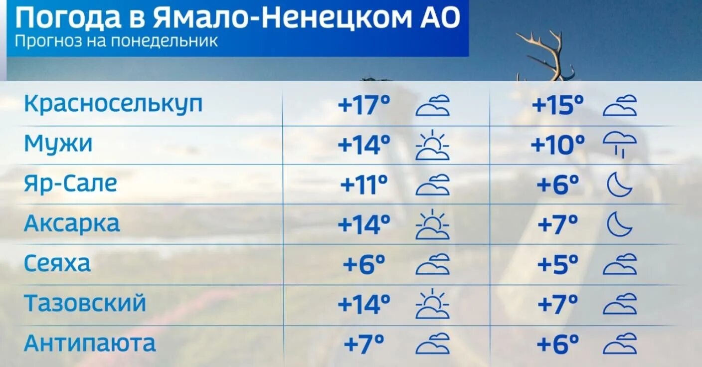 Погода эльбан 10 дней точный прогноз. Погода Салехард. Салехард погода сегодня. Ямал температура. Температура в Салехарде на неделю.