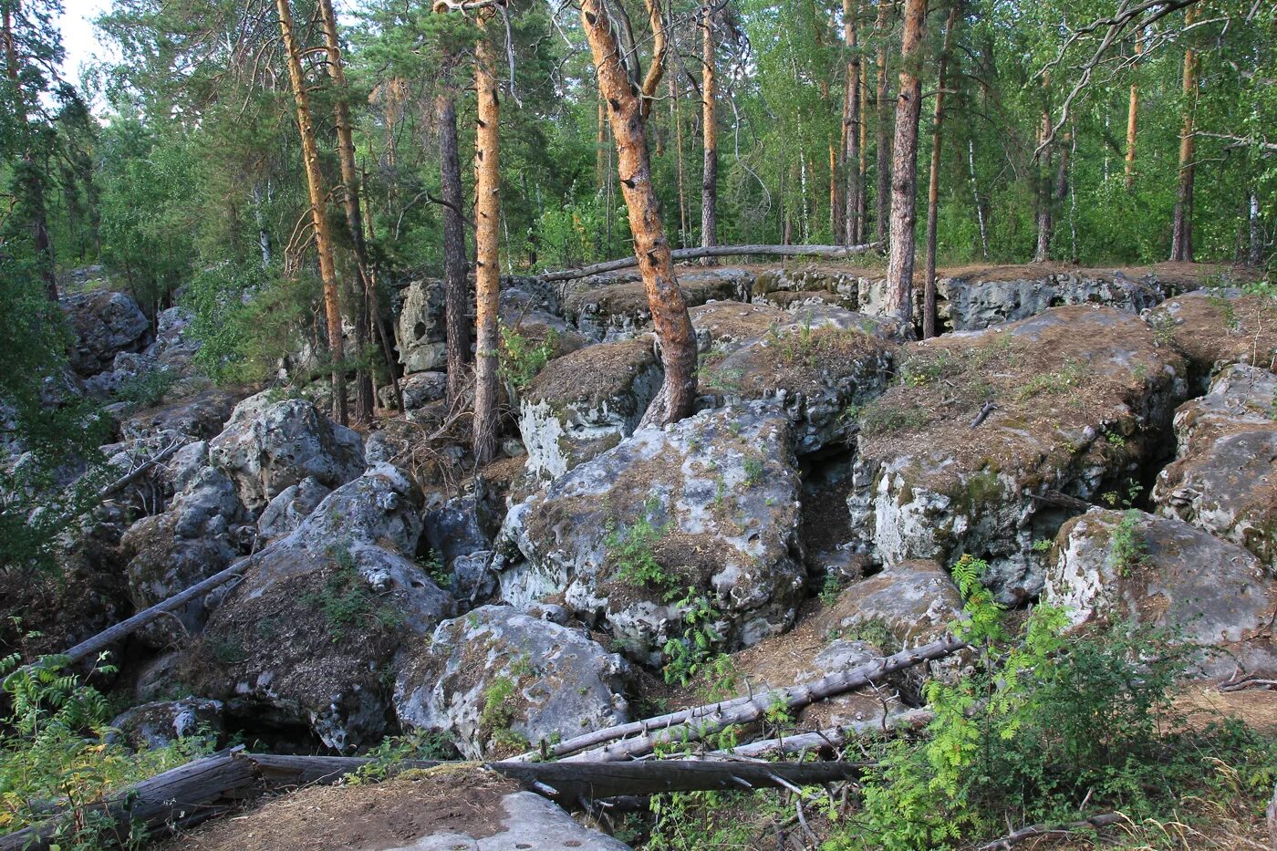 Рачейские скалы Самарская область. Рачейские скалы в Самарской луке. РАЧЕЙСКАЯ Тайга Самарская область. Памятник природы Рачейские скалы. Природные достопримечательности самарской области