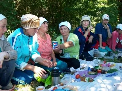 Погода деревня березняки
