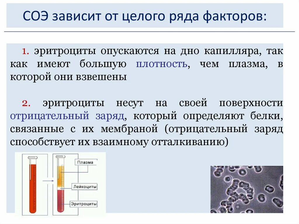 От чего зависит скорость оседания эритроцитов. Скорость оседания эритроцитов (СОЭ). Скорость оседания эритроц. Скорость оседания эритроцитов (СОЭ) зависит от.