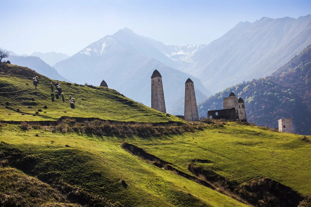 заповедник эрзи. территория заповедника эрзи. где природный заповедник эрзи. ингушетия парк эрзи кавказ. природный заповедник «эрзи».