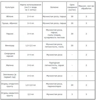 Топаз время обработки