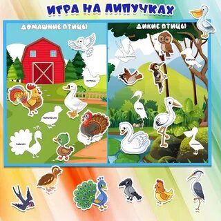 Сортировка птиц
