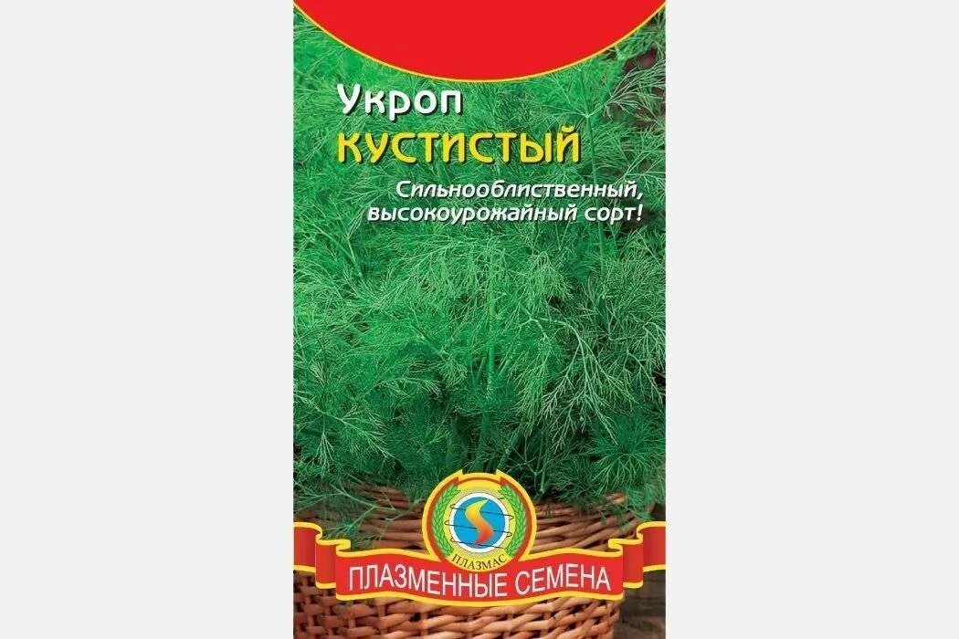 Сорт укропа без зонтиков. Укроп кустистый Плазмас (2 гр). Семена Гавриш удачные семена укроп Лесногородский 3 г. Укроп Геркулес 2гр/20. Укроп кустистый.