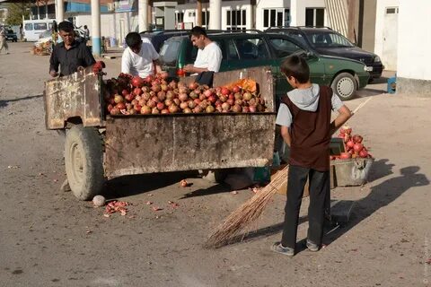 Погода душанбе вахдат на 10