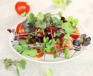 Микро зелень