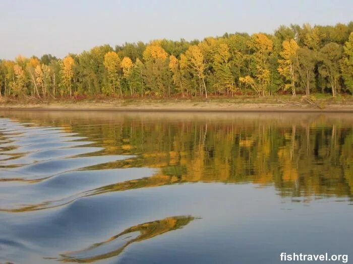 Река Обь Томск. Колпашево река Обь. Река Кеть Томская область. Новосибирск осень река Обь. Обь томская область