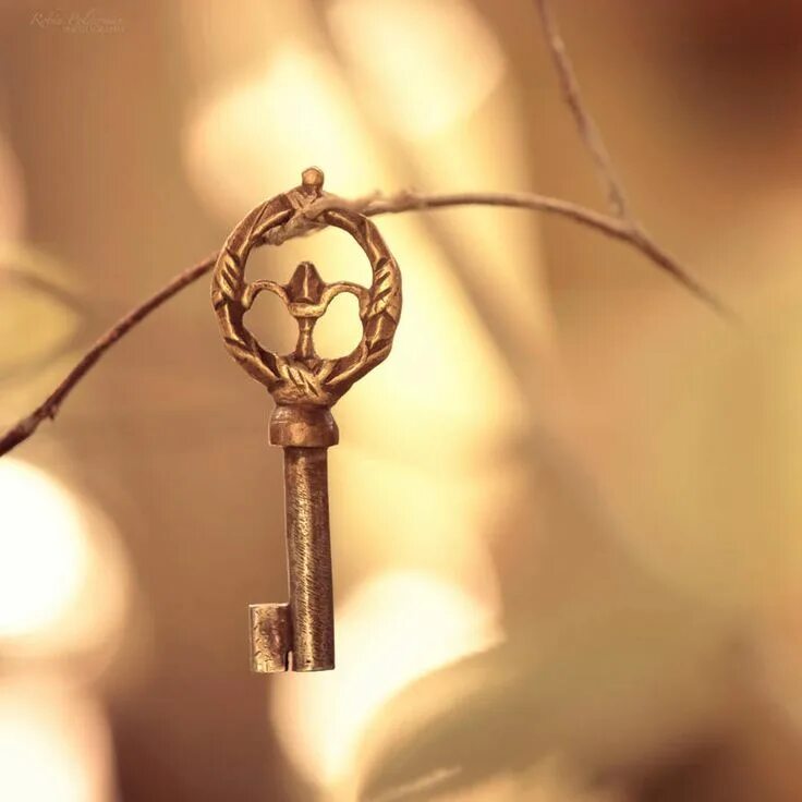The key to having. Сольный ключ обои. the key. success key. the key to happiness.