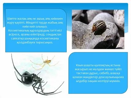 Сексуалды орыс қыздарының бейнелері