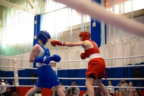 Турнир каратаева по боксу