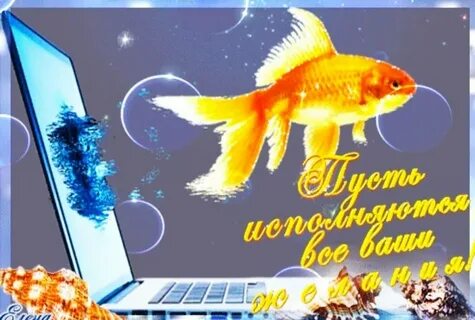 Поздравляю с исполнением мечты