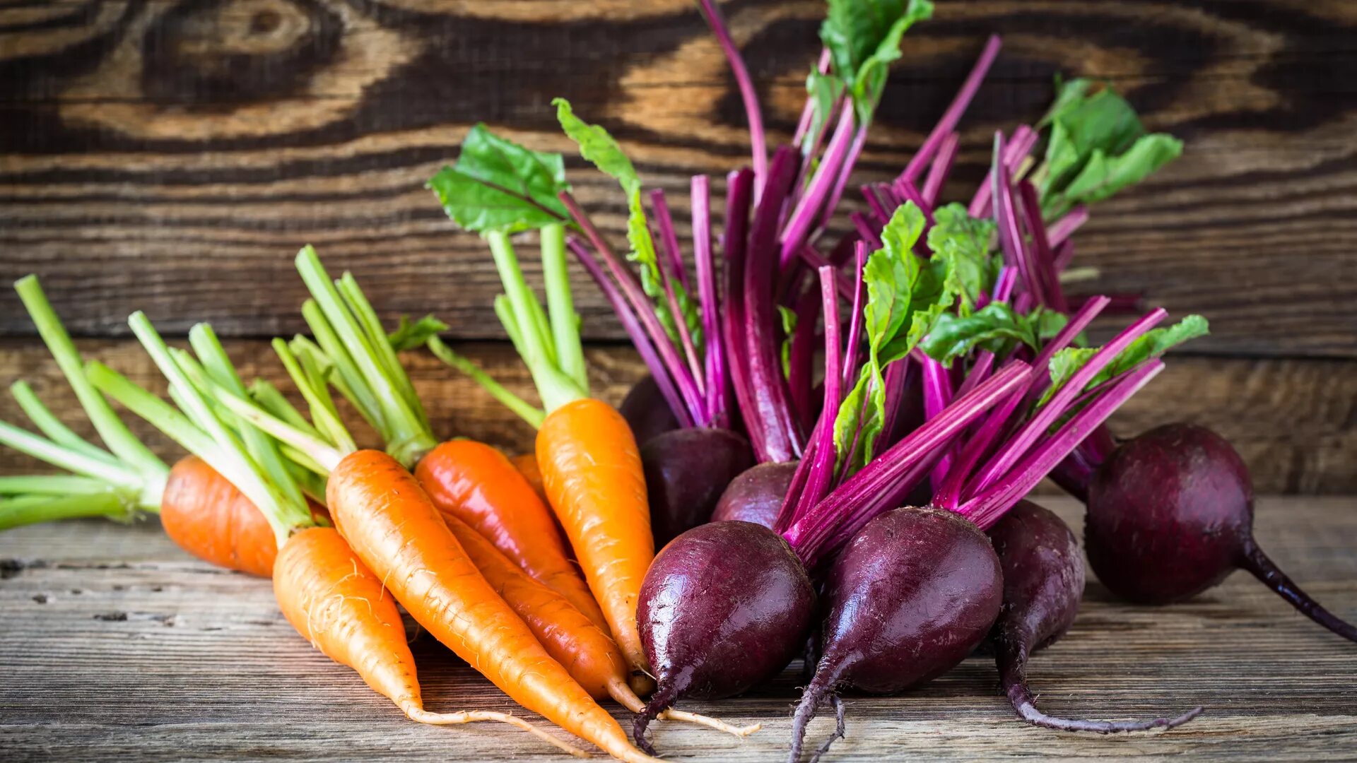 овощи корнеплоды. репа корнеплод. корнеплоды свеклы и моркови. полезные корнеплоды. съедобные корнеплоды.