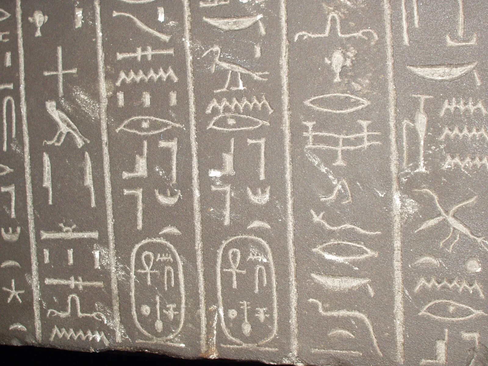 Разгадать иероглифы. Иероглифы британский музей. Иероглифы на камнях. Ткань с египетскими иероглифами. Египетский музей иероглифы.