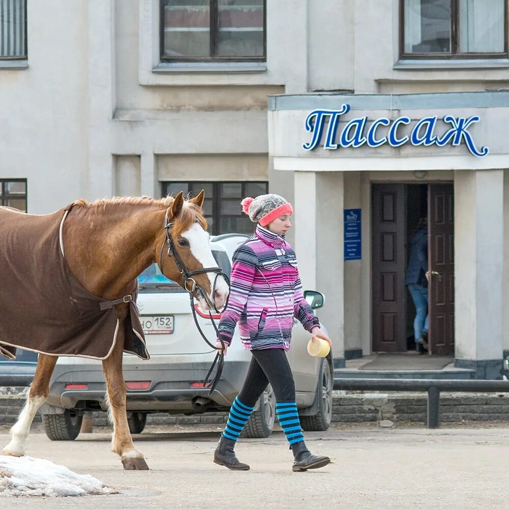 Кск вход. КСК Пассаж Нижний Новгород. Пассаж конный клуб Нижний Новгород. Конноспортивный комплекс Пассаж Нижний Новгород. Конюшня Пассаж Нижний Новгород.