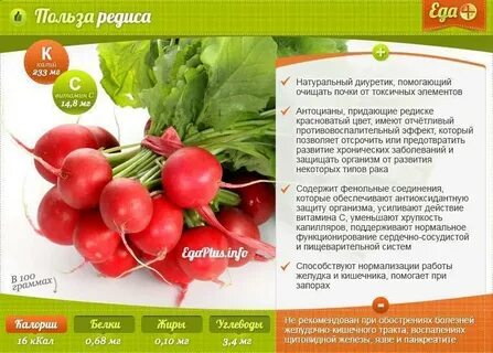 Витамины в редиске